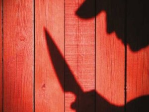 TIR PARKINDA VAHŞET 2 ÖLÜ