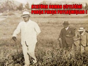 Atatürk Orman Çiftliğinin 22Bin Hektarı Paylaşılmış