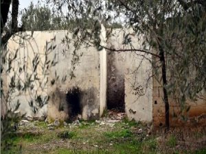 YAKILMIŞ KADIN CİNAYETİNDE BİR ŞOK DAHA