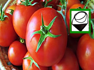 "KURAN OKUTACAĞIZ" DİYEREK DOLANDIRMA DÖNEMİ BAŞLADI