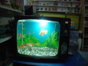 ESKİ TELEVİZYONU ATMADI BAKIN NE YAPTI