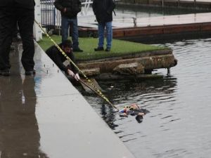 İSTİNYE SAHİLİNDE KADIN CESEDİ BULUNDU