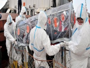 DOMUZ GRİBİ ÖLÜMLERİNDE GERÇEK RAKAM