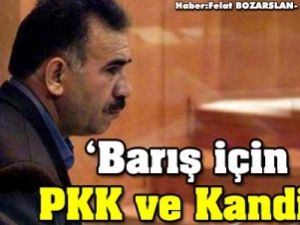 'PKK ve Kandil süreçte olmalı'