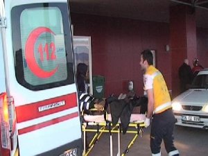 DOMUZ GRİBİ BİR İLE DAHA SIÇRADI