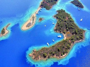 CENNET KOYUN TALANI MAHKEME DUVARINA ÇARPTI