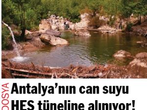 Enerji piyasası köylünün ahırına kadar girdi!