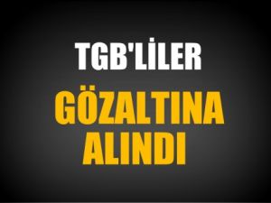 TGB'liler Gözaltına Alındı