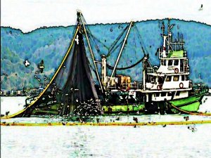 BAKANLIKTAN AV YASAĞI AÇIKLAMASI