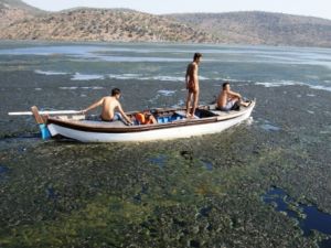 Ölümün eşiğindeki Bafa Gölü'ne 'çılgın proje!'