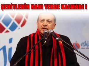 Erdoğan; 'Şehitlerin kanı yerde kalmadı'