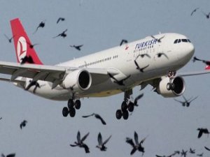 THY UÇAĞI GERİ DÖNDÜ