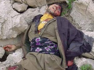 Çobanlar 5 PKK Cesedi Buldu