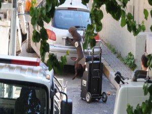 İSTANBUL'DA ŞÜPHELİ ARAÇTAN BAKIN NE ÇIKTI