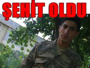 Yaralı Asker Şehit Oldu