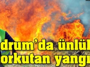 Bodrum'da Ünlülerin Koyu Kül Oldu