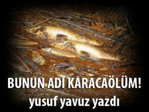 Bunun adı Karacaölüm!