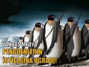 Yandaş Medya Penguenlerin İstilasına Uğradı!