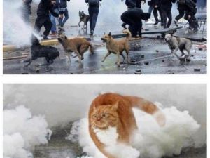 Gezi Parkı Olaylarının "En Masum Mağdurları" Yardım Bekliyor