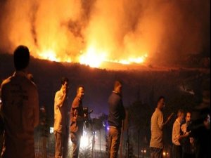 BİLİR KİŞİ ÖYLE BİR RAPOR VERDİ Kİ