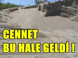 Doğa binlerce yılda yaptı, insan 35 yılda yuttu!