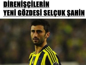 Direnişçilerin Yeni Gözdesi Selçuk Şahin