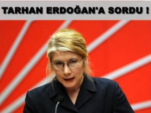 Tarhan Erdoğan'a Sordu; "İsrail'e uygulanan ticari ambargodan oğlunuz muaf mıdır?"