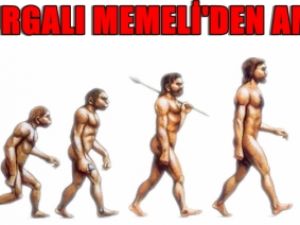 Omurgalı Memeli'den Amip'e