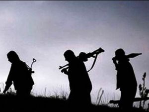 Öğretmen Kaçıran PKK'lı Öldürüldü