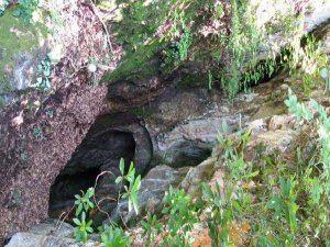 ALTIN ARAMAK İÇİN DALDIĞI MAĞARADAN GERİ ÇIKMADI