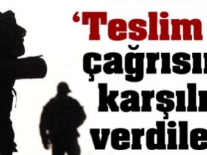 "Teslim Ol' Çağrısına Bomba İle Yanıt Verdiler; 2 PKK'lı öldürüldü