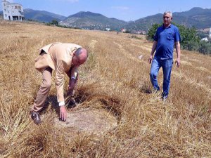 AKP'Lİ BAŞKANIN KURDUĞU TEZGAHI MHP'Lİ BAŞKAN YAKALADI