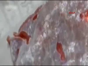 KASAPTAN ALDIĞI ET CANLANDI