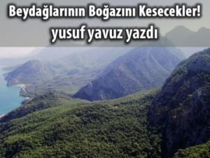 Beydağlarının boğazını kesecekler!