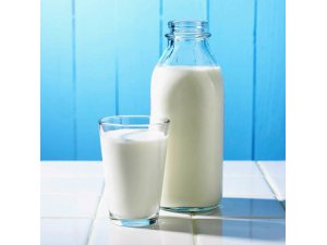 SÜT VE SÜT ÜRÜNLERİNDE KANSER TEHLİKESİ