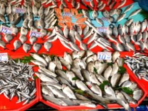 11 balık türünde kanserojen madde tespit edildi!