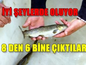 8'den 6 Bine Çıktılar