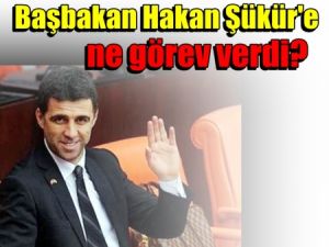 Başbakan Hakan Şükür'e ne görev verdi?