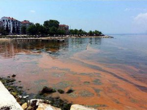 ÇEVRE MÜH. ODASI; DENİZE GİRMEYİN, BELEDİYE;RAHATLIKLA GİRİN