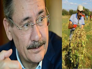 MELİH GÖKÇEK'E KOMÜNİST KAPAK