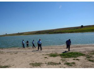 SULAMA GÖLETİNDE BALIK KATLİAMI
