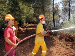 ANTALYA'DA ORMAN YANGINI