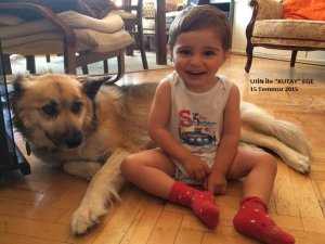 YÜCELER YÜCESİ İNSAN VE KURTLAR YASASI