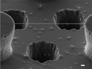 DNA'nın İlk Kez Doğrudan Fotoğrafı Çekildi