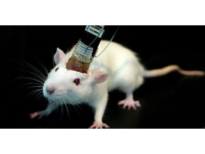 YENİ AKİT'TEN "UZAKTAN KUMANDAYLA BEYİN KONTROLÜ" HABERİ