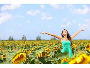 KIRIŞIKLIKLARA İYİ GELEN ÇEREZ