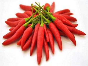 ACI BİBER SEVENLER OKUSUN