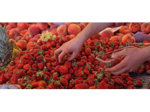 ÇİLEK ALIRKEN DİKKAT