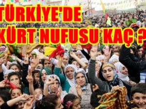 Türkiye'nin Kürt Nufusu Kaç ?