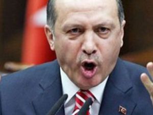 Erdoğan: 'Gezi Parkı için karar verdik'
